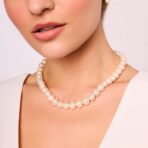 d530557f634a4ed385923b724131403f