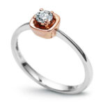 171821e3564d880cc1e561bb789210f0