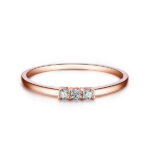 049a8e9bf273ea838a4f715195ace06a