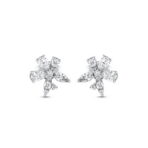 626c633f4f15bf69db39714e6312e0d1