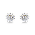 82a9382098238c9672eadc68dd1c63ed