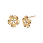 034e61c542d7e0142c4137e25be619fa