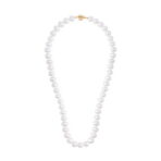 040a83865cd6d42881a3ec1a57e0f706