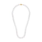 040a83865cd6d42881a3ec1a57e0f706