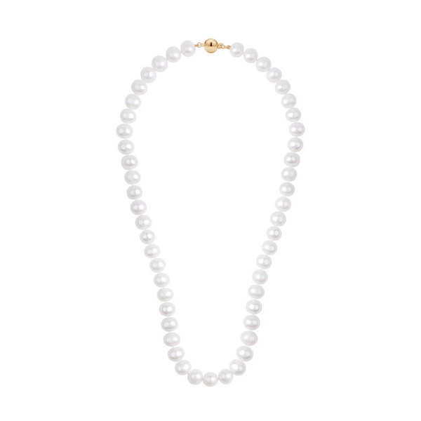 040a83865cd6d42881a3ec1a57e0f706