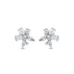 c9d46f99340725a388c848c840de12d7