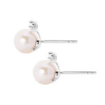 ddbfaf2260a52ac01735910775d40740