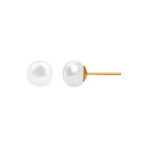 3f24c8c7572676e97ec6668ed02437dd