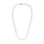 cfd1946478499e0fe81cd738be6f5bdb