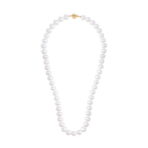 ed58e8a15ecb428d2a7f71ebc08f4b14