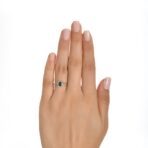 a5cf1798495fc63c301c3790ad4f1a1e