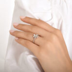 2a8511586c8f04363ab354bd0ea53757