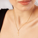 885183f5c4c86ec85126042599f3e738